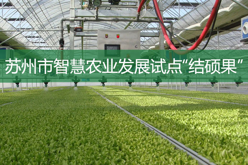 蘇州市智慧農(nóng)業(yè)發(fā)展試點“結(jié)碩果”