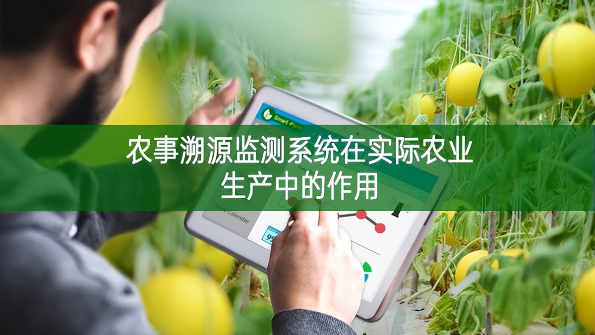 農事溯源監測系統在實際農業生產中的作用