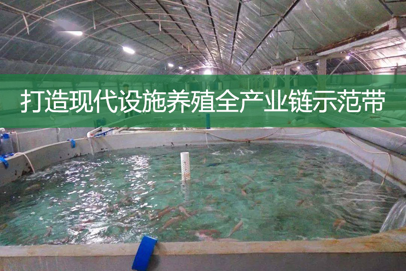 打造現代設施養殖全產業鏈示范帶
