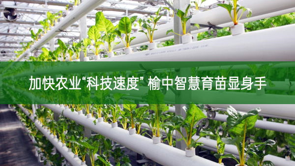 加快農(nóng)業(yè)“科技速度” 榆中智慧育苗顯身手