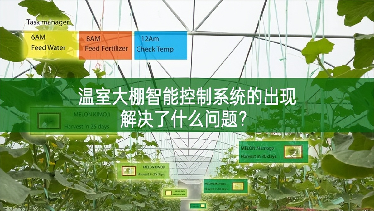 溫室大棚智能控制系統的出現解決了什么問題?