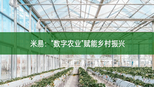 米易：“數字農業”賦能鄉村振興
