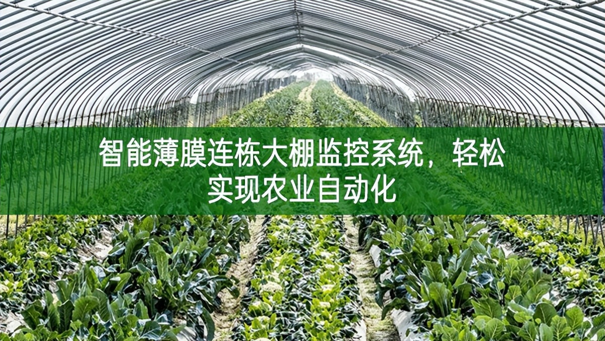 智能薄膜連棟大棚監控系統，輕松實現農業自動化
