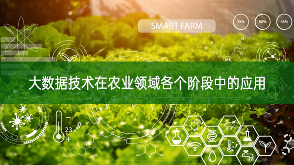 大數據技術在農業領域各個階段中的應用