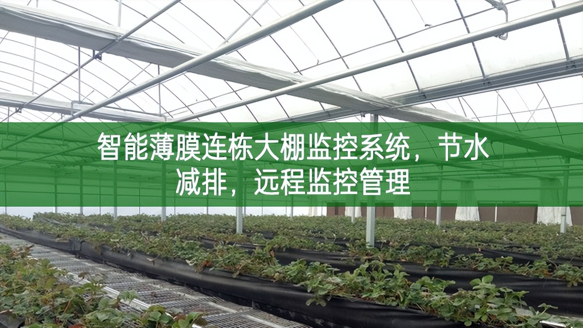智能薄膜連棟大棚監(jiān)控系統(tǒng)，節(jié)水減排，遠(yuǎn)程監(jiān)控管理