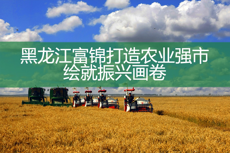 黑龍江富錦打造農(nóng)業(yè)強(qiáng)市 繪就振興畫(huà)卷