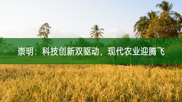 崇明:科技創新雙驅動 現代農業迎騰飛