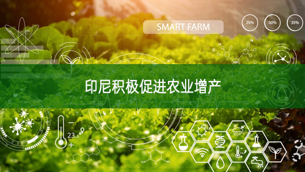 印尼積極促進(jìn)農(nóng)業(yè)增產(chǎn)