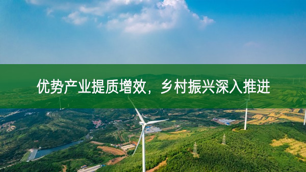 優勢產業提質增效，鄉村振興深入推進
