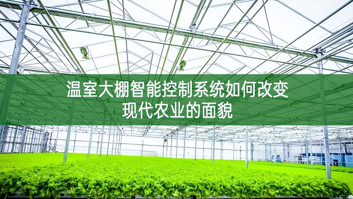 溫室大棚智能控制系統(tǒng)如何改變現(xiàn)代農(nóng)業(yè)的面貌