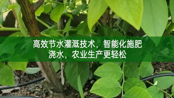 高效節水灌溉技術，智能化施肥澆水，農業生產更輕松
