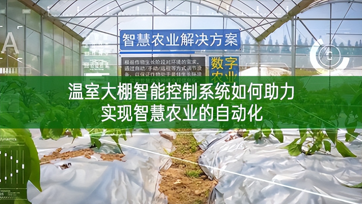 溫室大棚智能控制系統(tǒng)如何助力實現(xiàn)智慧農(nóng)業(yè)的自動化