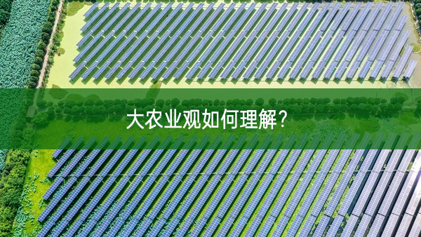 大農業觀如何理解？