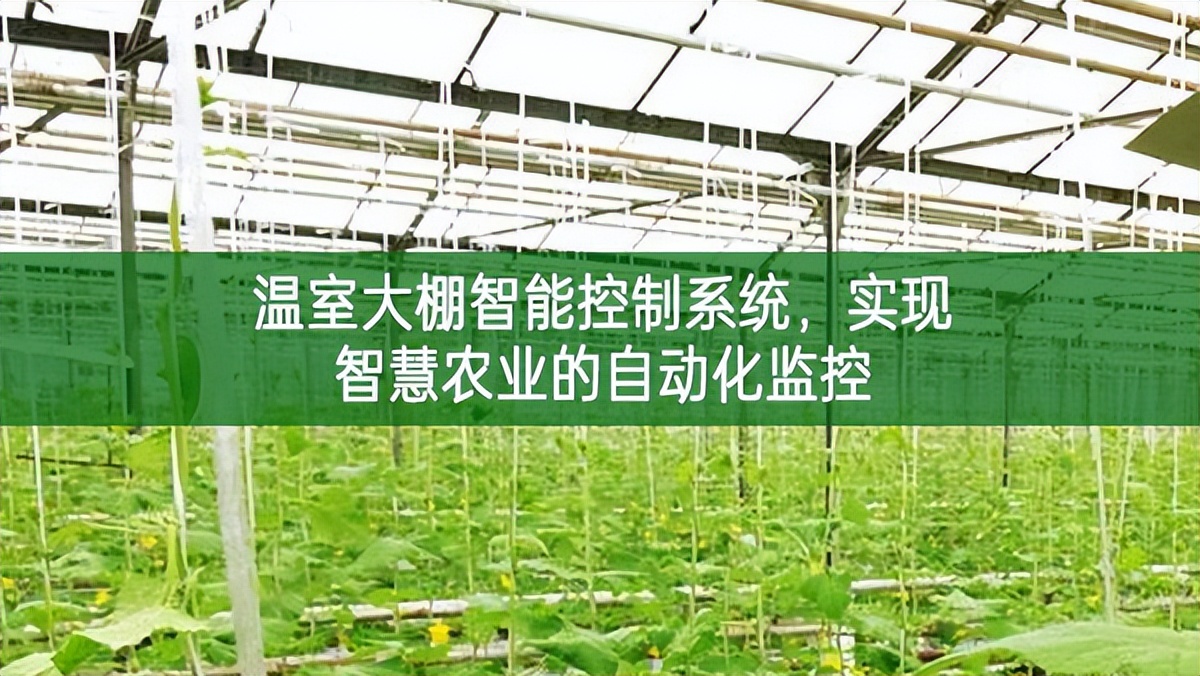 溫室大棚智能控制系統，實現智慧農業的自動化監控
