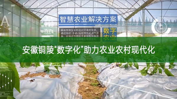 安徽銅陵“數(shù)字化”助力農業(yè)農村現(xiàn)代化
