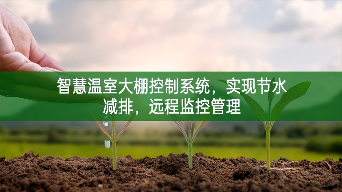 智慧溫室大棚控制系統，實現節水減排，遠程監控管理