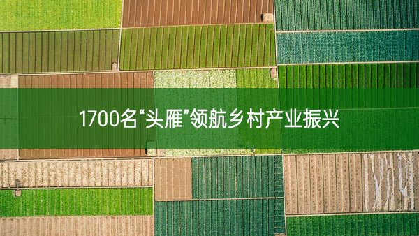 1700名“頭雁”領航鄉村產業振興