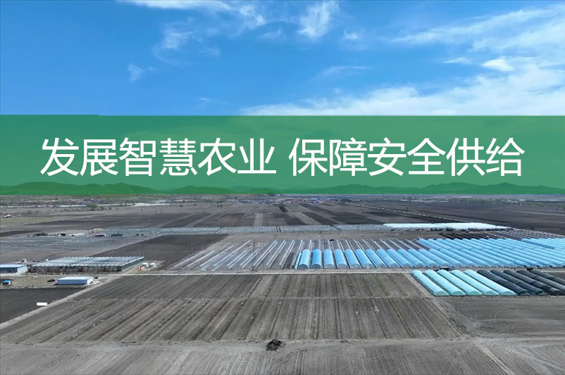 發(fā)展智慧農業(yè) 保障安全供給