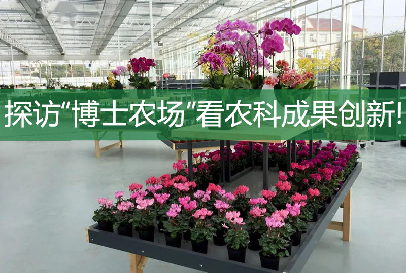 探訪“博士農(nóng)場”看農(nóng)科成果創(chuàng)新!