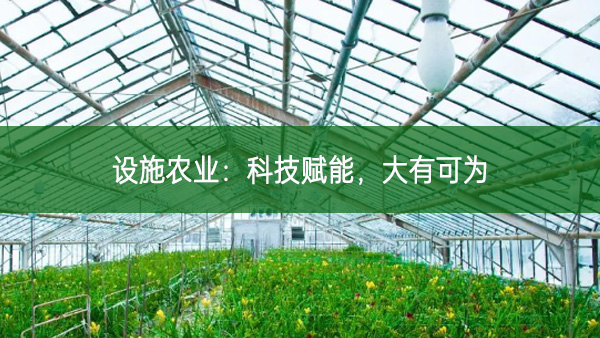 設施農業:科技賦能,大有可為