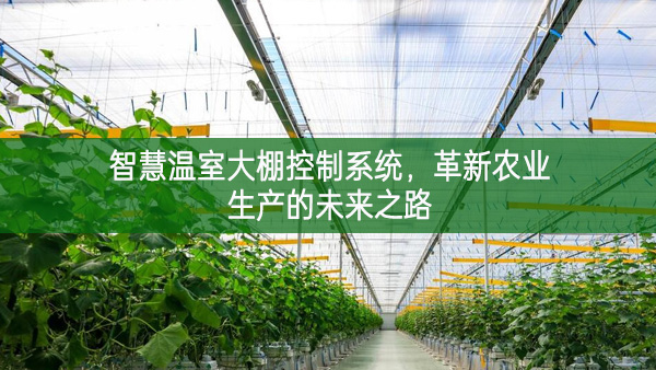 智慧溫室大棚控制系統，革新農業生產的未來之路