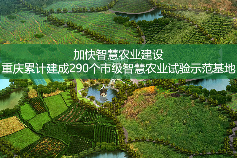 加快智慧農業(yè)建設 重慶累計建成290個市級智慧農業(yè)試驗示范基地