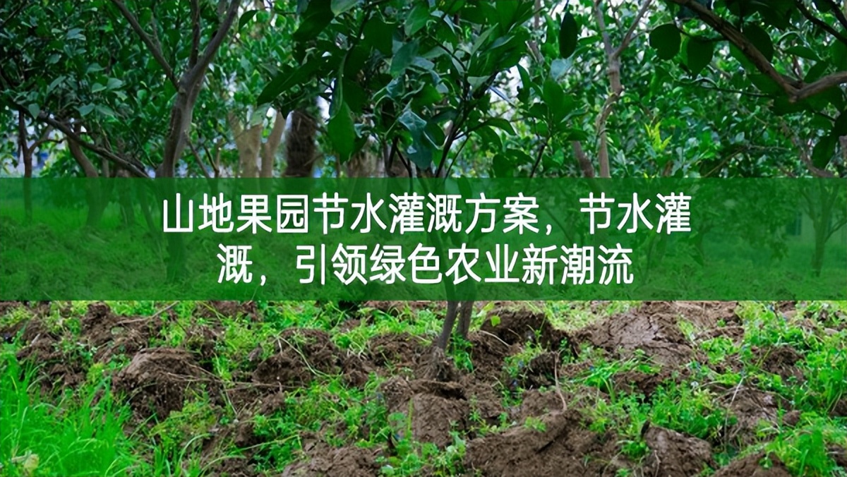 山地果園節水灌溉方案，節水灌溉，引領綠色農業新潮流