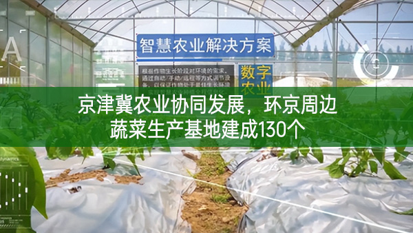 京津冀農業協同發展,環京周邊蔬菜生產基地建成130個