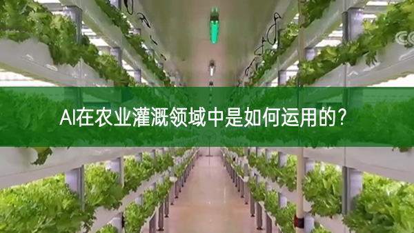AI在農(nóng)業(yè)灌溉領(lǐng)域中是如何運(yùn)用的？