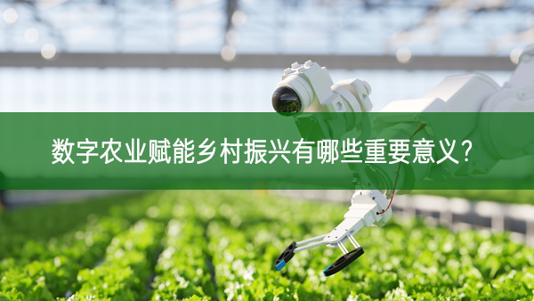 數字農業賦能鄉村振興有哪些重要意義?