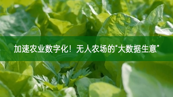 加速農業數字化!無人農場的“大數據生意”