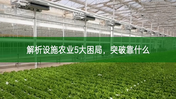 解析設施農業5大困局,突破靠什么