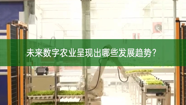 未來數(shù)字農(nóng)業(yè)呈現(xiàn)出哪些發(fā)展趨勢(shì)？