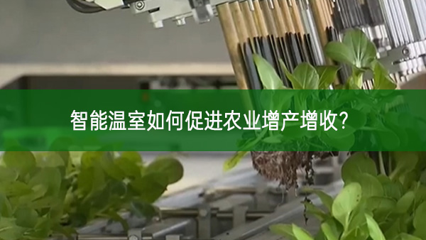 智能溫室如何促進農業增產增收?