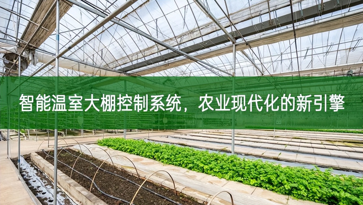 智能溫室大棚控制系統，農業現代化的新引擎