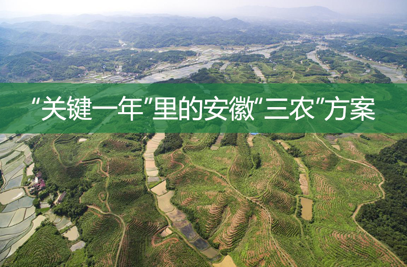 “關(guān)鍵一年”里的安徽“三農(nóng)”方案