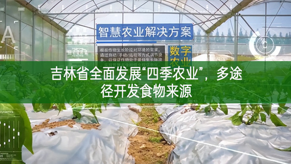 吉林省全面發(fā)展“四季農(nóng)業(yè)”,多途徑開發(fā)食物來源