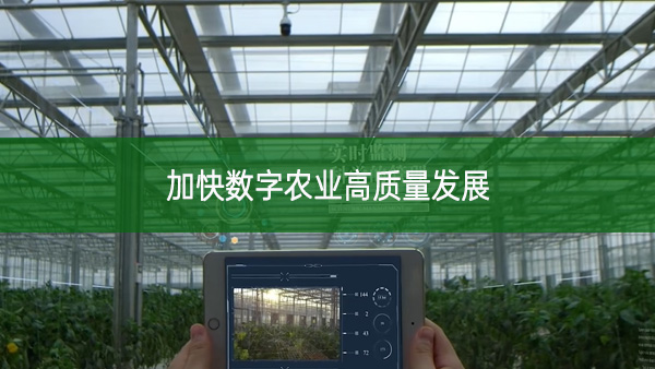 加快數字農業高質量發展