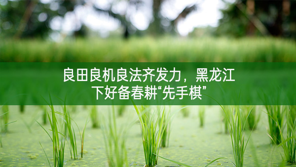 良田良機良法齊發(fā)力 黑龍江下好備春耕“先手棋”