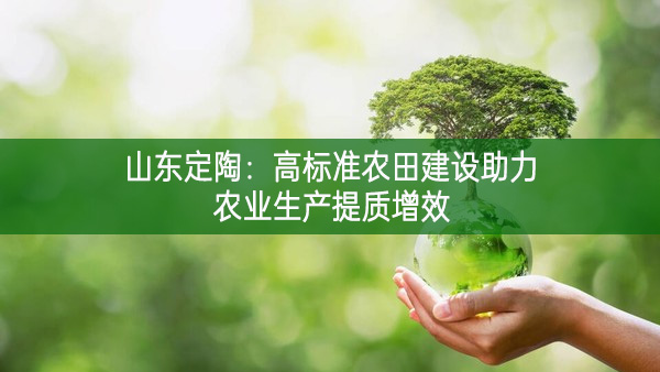 山東定陶:高標準農(nóng)田建設(shè)助力農(nóng)業(yè)生產(chǎn)提質(zhì)增效