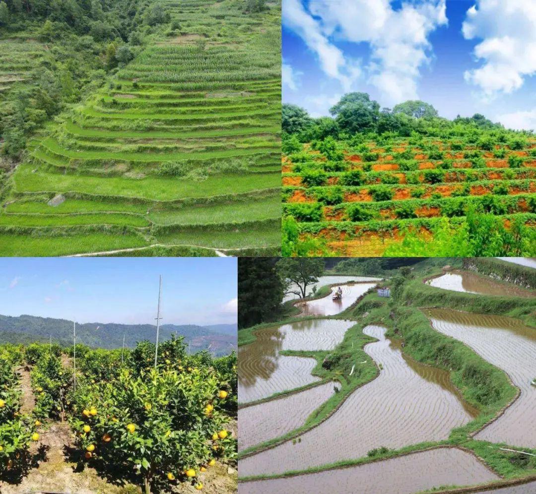 智能恒壓灌溉系統(tǒng) 應(yīng)用場景