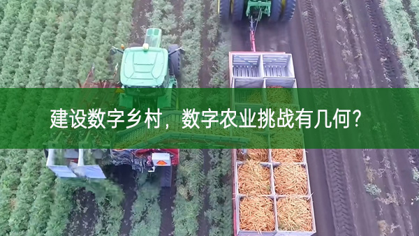 建設數字鄉村,數字農業挑戰有幾何?