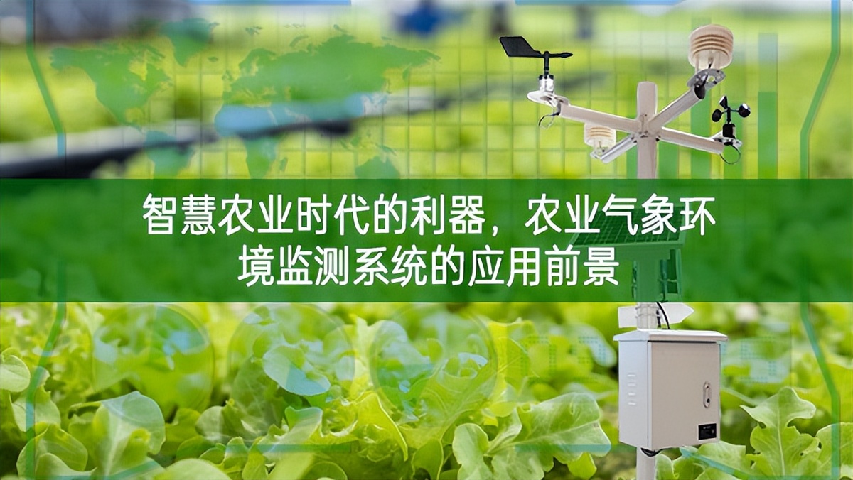 智慧農業時代的利器，農業氣象環境監測系統的應用前景