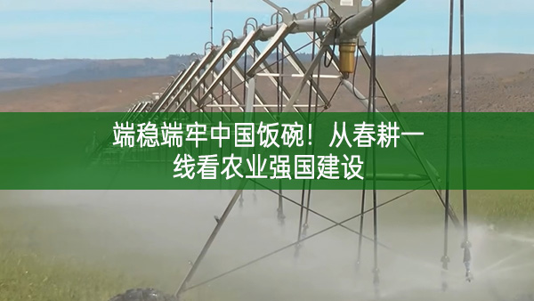 端穩(wěn)端牢中國飯碗！從春耕一線看農業(yè)強國建設