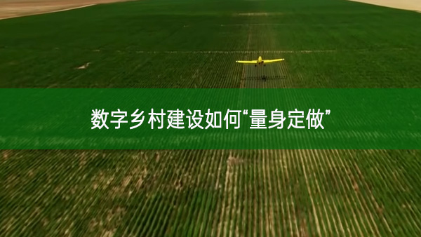 數(shù)字鄉(xiāng)村建設如何“量身定做”
