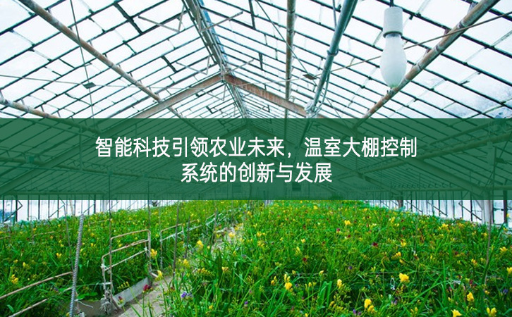 智能科技引領農(nóng)業(yè)未來，溫室大棚控制系統(tǒng)的創(chuàng)新與發(fā)展