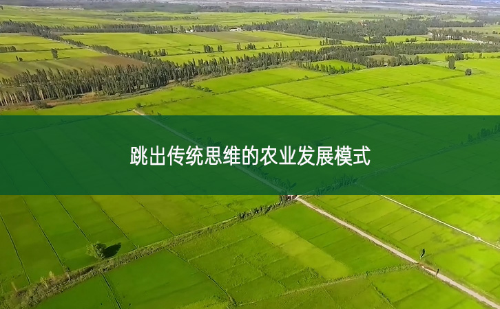 跳出傳統思維的農業發展模式