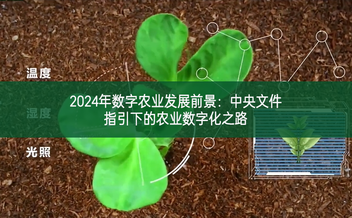 2024年數(shù)字農(nóng)業(yè)發(fā)展前景:中央文件指引下的農(nóng)業(yè)數(shù)字化之路