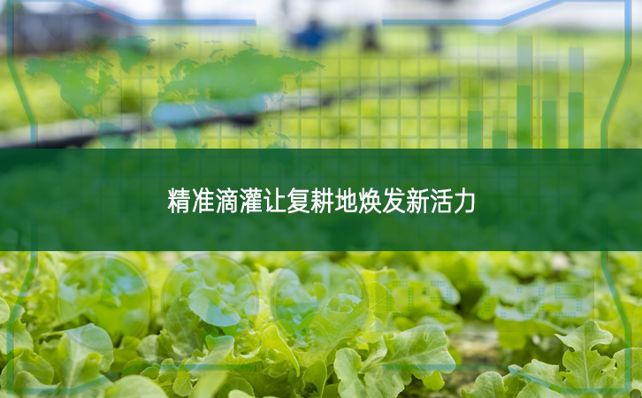 精準滴灌讓復耕地煥發新活力