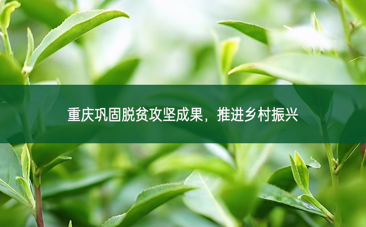 重慶鞏固脫貧攻堅(jiān)成果 推進(jìn)鄉(xiāng)村振興